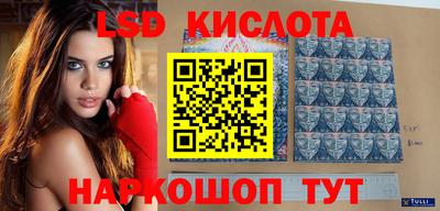 гидропоника Новокубанск