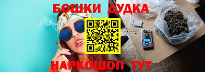 ГАЛЛЮЦИНОГЕННЫЕ ГРИБЫ Новозыбков