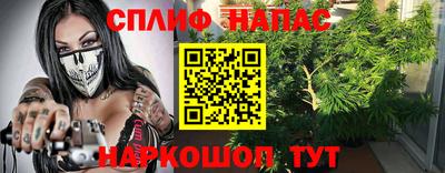 ГАЛЛЮЦИНОГЕННЫЕ ГРИБЫ Новозыбков